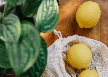 5 Simple Steps to Make Your Home More Eco-Friendly