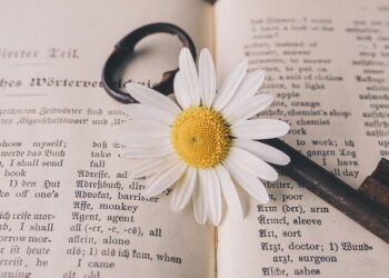 Why Use a Translation Company in the UK