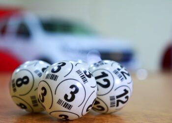 A Variety of Reasons Why People Prefer to Play the Lottery Online