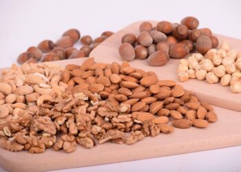 The Nutritionists Perspective Of Alternative Proteins