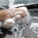 Everything You Need to Know about Car Interior Detailing