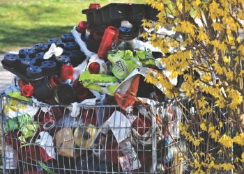 Importance Of Waste Removal