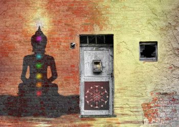 What really happens on a psychedelic retreat?