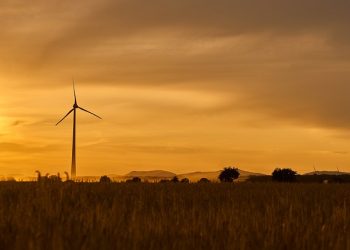 The Benefits Of Calculating Your Carbon Footprint With A Carbon Calculator