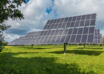 Why Buy Carbon Credits?