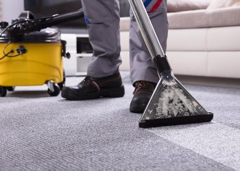 Why choose professional carpet cleaning?
