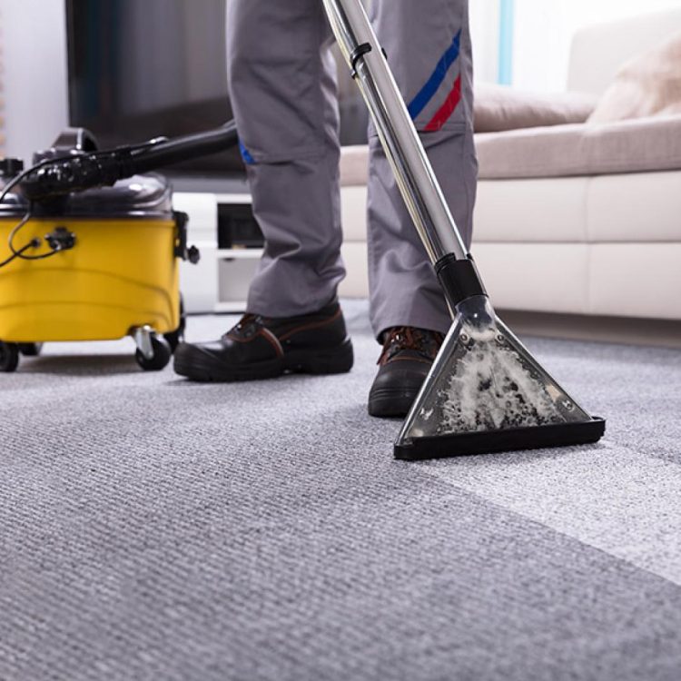 Why choose professional carpet cleaning?