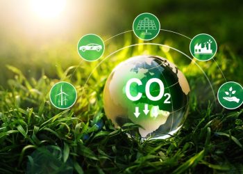 The Pros and Cons of Carbon Offsetting