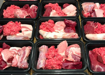 Benefits of Raw Food For Dogs