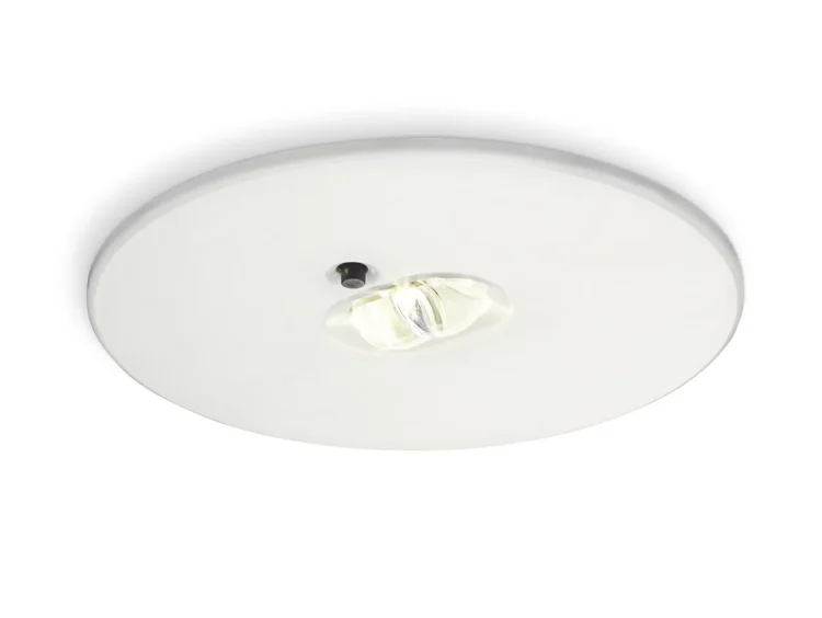 Choosing the Right Type of Emergency Downlight for Your Needs