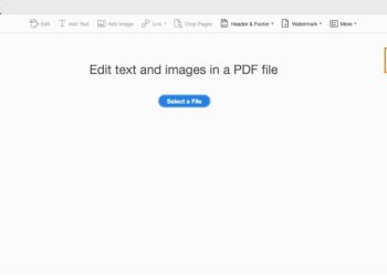 Accessibility and Inclusivity: The Unseen Benefits of PDF Editing Software