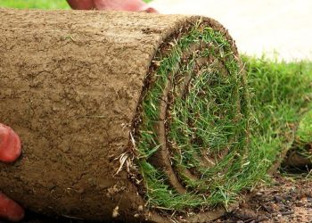 The Advantages of Using Turf Laying Services: A Green Solution for Beautiful Lawns