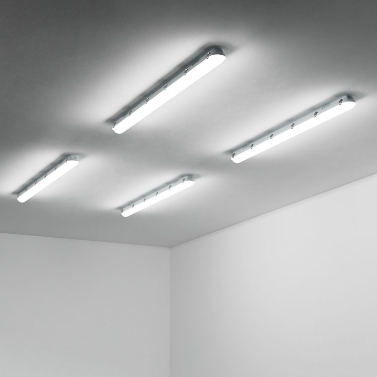 Saving Time and Money with LED Batten Lights: The Top Benefits for Your Garage