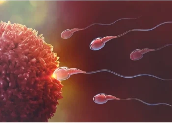 Detecting Fertility Problems Early: Why At-Home Sperm Testing Matters