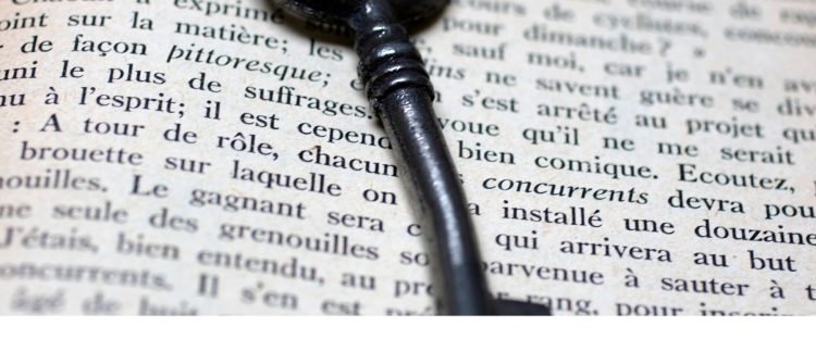 Cultural Immersion and Appreciation: The Benefits of French Literature