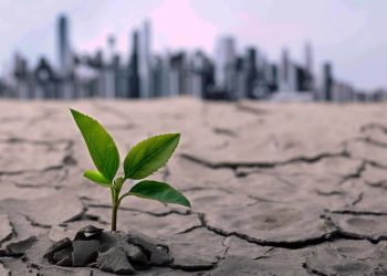 Climate Change Conferences: A Catalyst for Change