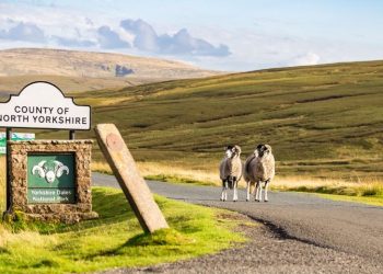 The UK’s Natural Wonders: A Deep Dive into the National Parks Across England, Scotland, and Wales