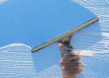 Why Going Pro Matters: The Undeniable Benefits of Professional Window Cleaning
