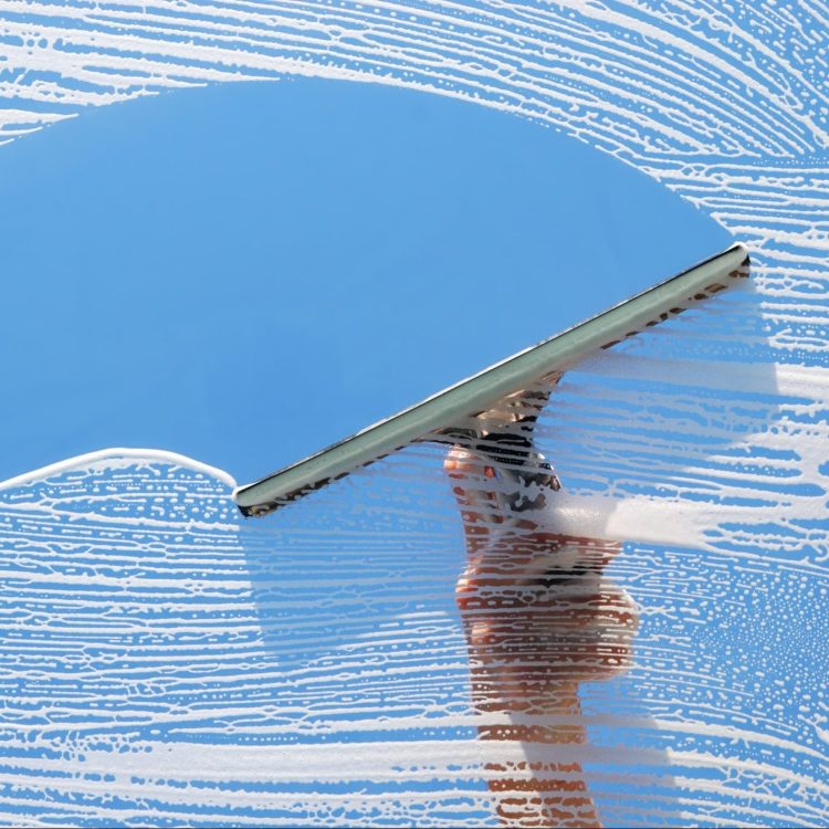 Why Going Pro Matters: The Undeniable Benefits of Professional Window Cleaning
