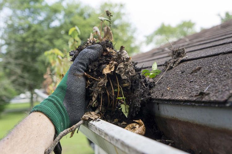 The Ultimate Checklist for Gutter Cleaning and Maintenance in Salisbury