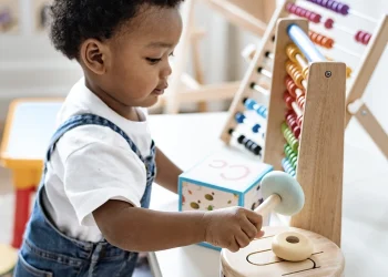 Developing Young Minds: Selecting Quality Montessori Toys for Toddlers