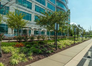 Let the Experts Handle It: Why Hiring Pros for Birmingham Commercial Landscaping Pays Off