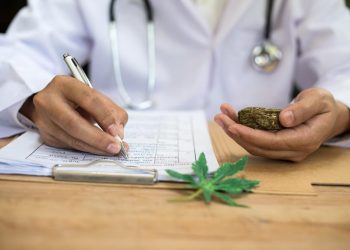 The Therapeutic Potential of Cannabis: Exploring its Medical Applications