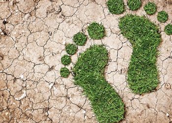Unlocking Sustainability: The Benefits of Engaging with a Carbon Footprint Consultant