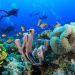 Why You Should Experience Scuba Diving with a Hurghada Diving Center