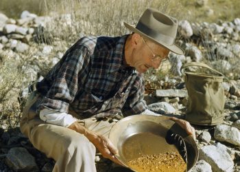Gorączka złota: Opowieść o blasku i mroku pogoni za żyłką