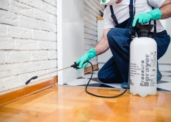 Pest Control Mastery: Reasons to Trust Professionals for a Healthy and Happy Home