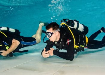 Joining the Global Community Through PADI Diving Certification