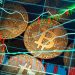 The Strategic Importance of Market Making in Cryptocurrency Exchanges