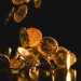 The Golden Touch: How Gold Coins Can Enhance Your Portfolio