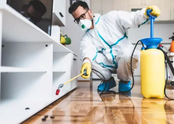 The Importance of Pest Control Services: Protecting Your Health, Home, and Business
