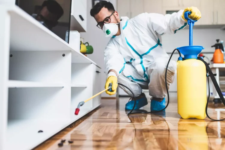 The Importance of Pest Control Services: Protecting Your Health, Home, and Business
