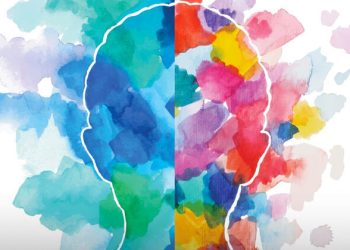 Demystifying the Spectrum: A Comprehensive Guide to the 4 Color Personality Test