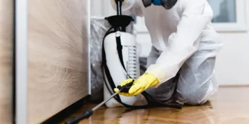 Professional vs. DIY Pest Control: Why Experts Are Worth the Investment