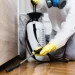 Professional vs. DIY Pest Control: Why Experts Are Worth the Investment