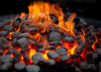 Embracing Smoke-Free Flames: The Rise of Smokeless Fuels