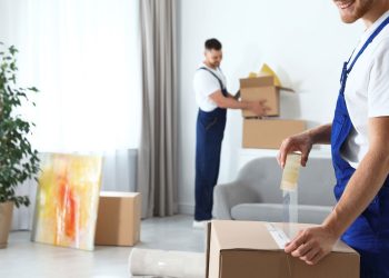 The Rise of Professionalism in Dulwich Removals Services
