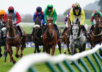 Connecting with the Sport: The Value of Reading About Today’s Horse Racing