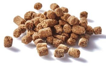 Homemade Dog Treats: A Fun and Healthy Alternative