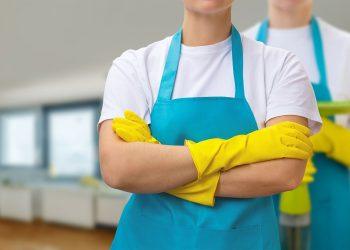 The Value of Clean: Why Choose Professional Cleaning Services