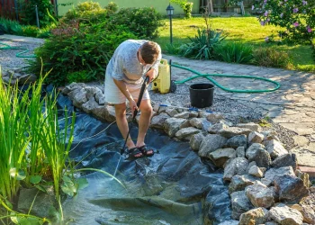 Ensuring Water Feature Longevity with Professional Maintenance Services