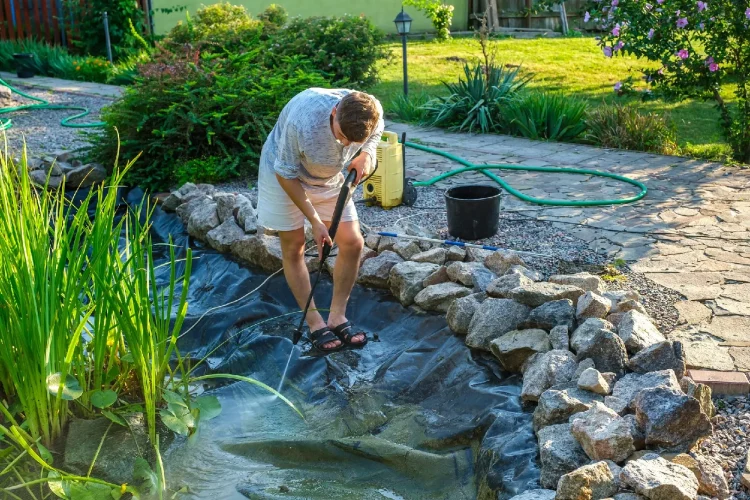 Ensuring Water Feature Longevity with Professional Maintenance Services