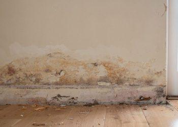 Securing Your Sanctuary: The Importance of Engaging Housing Disrepair Solicitors in London