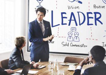 Transforming Leadership Through Insights Discovery: A Comprehensive Guide to Professional Development