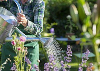 Unlock Your Garden’s Potential: The Benefits of Hiring a Gardening Company in Tunbridge Wells