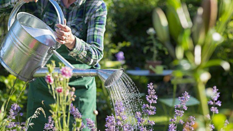 Unlock Your Garden’s Potential: The Benefits of Hiring a Gardening Company in Tunbridge Wells